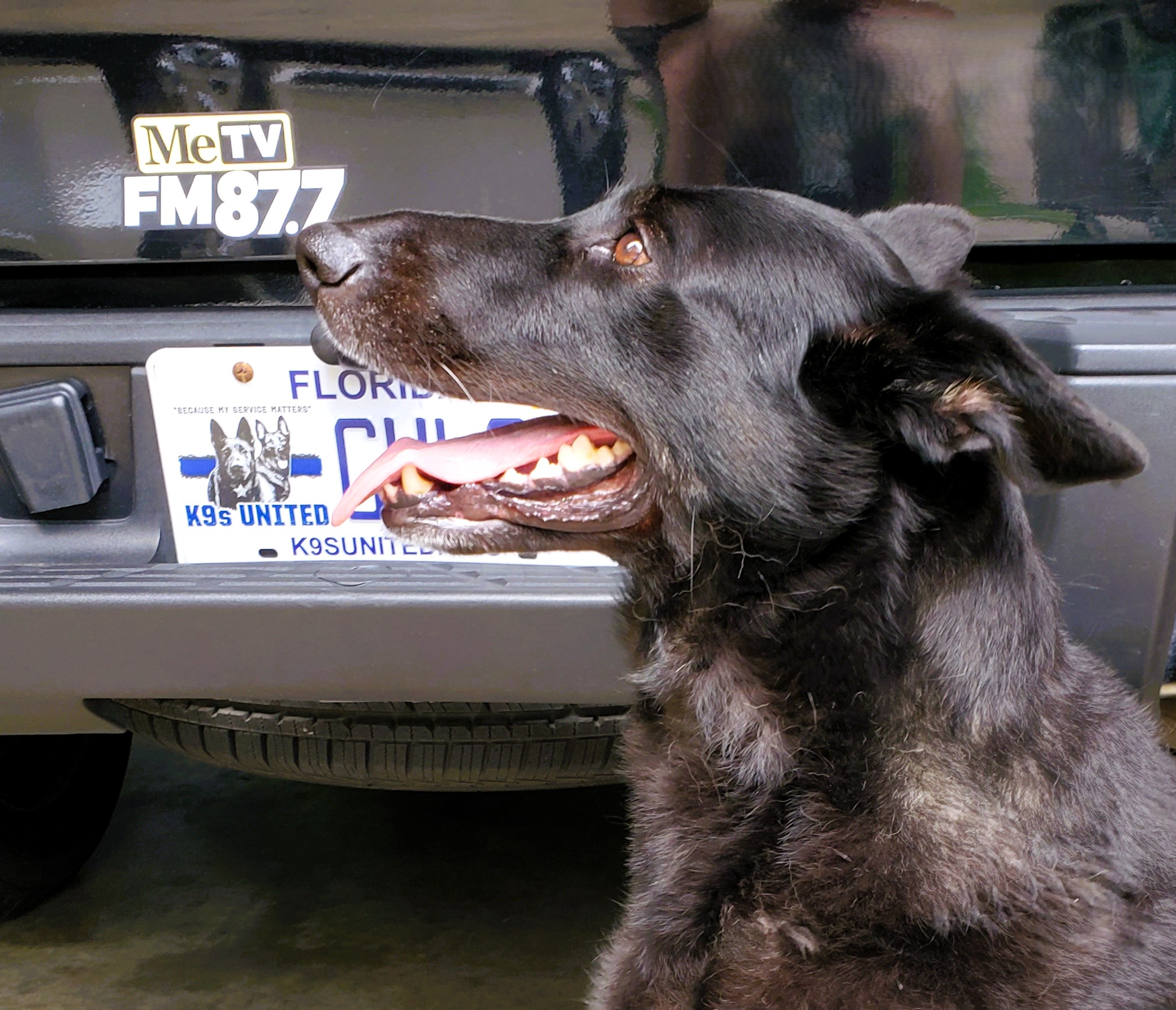 in my truck, and garage...